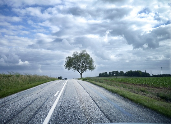 Building Back Better